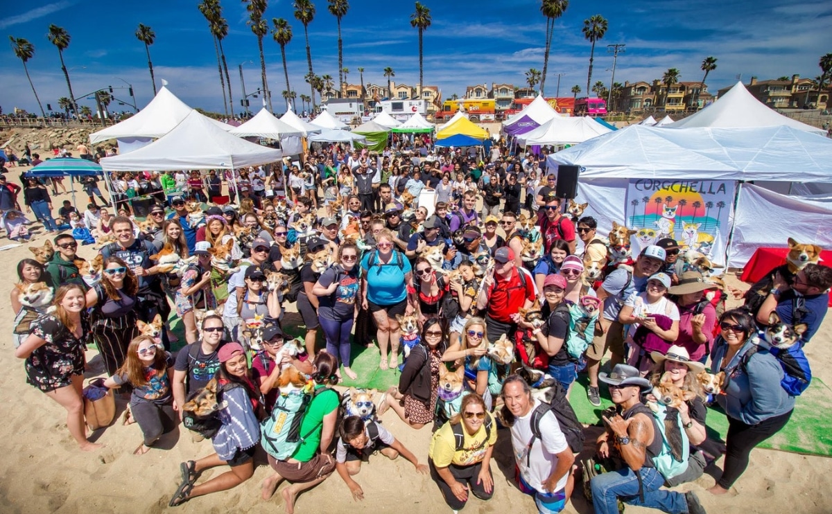 Annual Dog Breed Meet-Ups & Events For Dog Lovers - Canine Journal