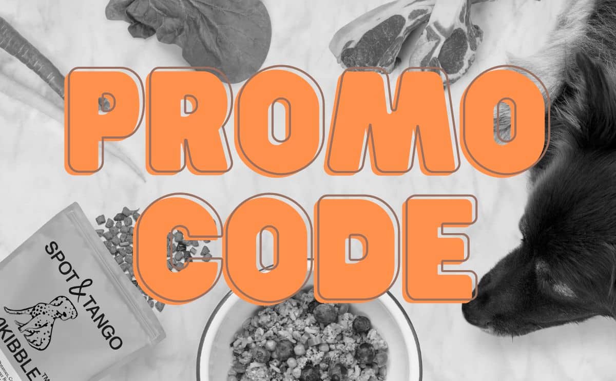 Spot & Tango Coupon Code For Dog Food Subscriptions In 2024