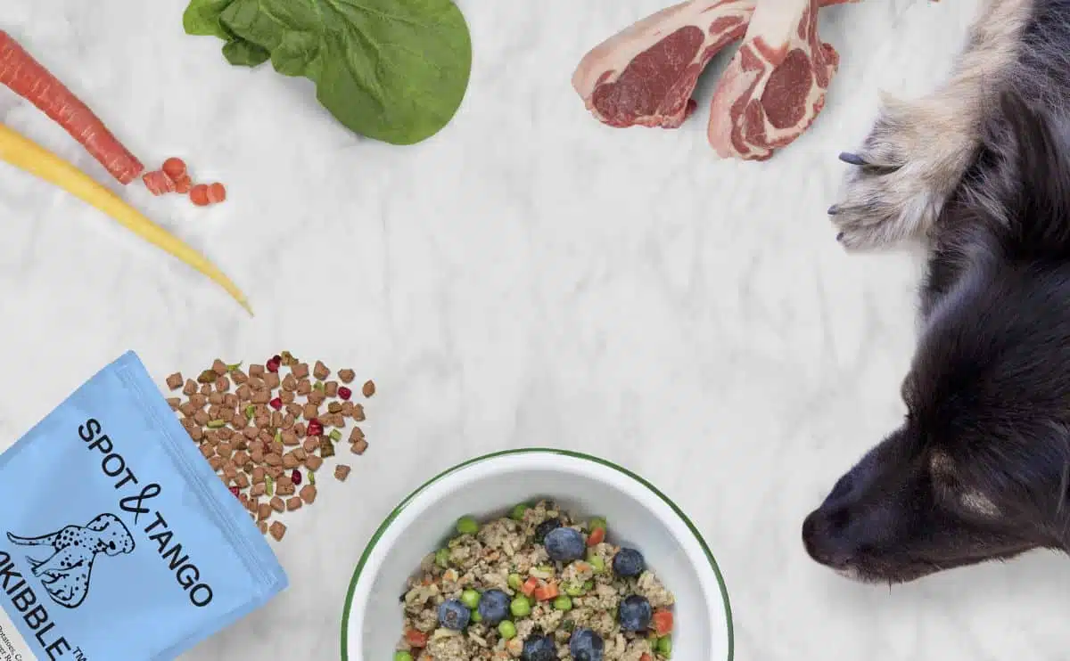 spot and tango dog food on table with a dog