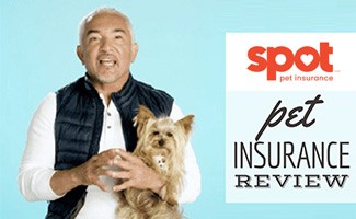 Cesar Millan with dog (caption: Spot Pet Insurance Review)