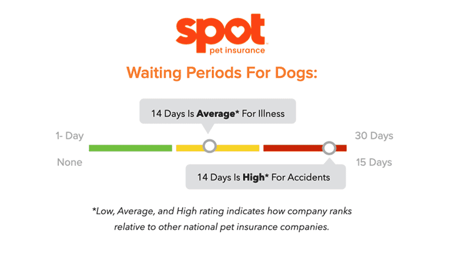 Spot's Waiting Periods Graphic