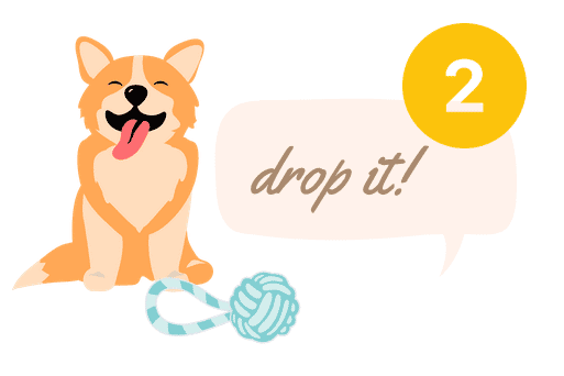 2. Teach Your Dog The "Drop It" Command