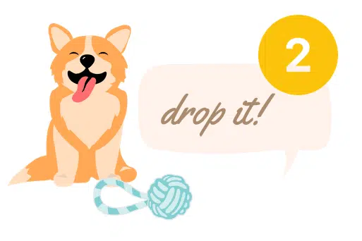 2. Teach Your Dog The "Drop It" Command