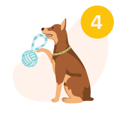 4. Condition Your Dog To Bring The Toy Back