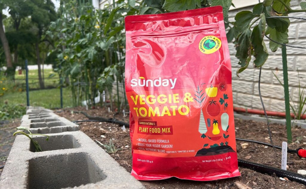 Sunday fertilizer with veggie garden.