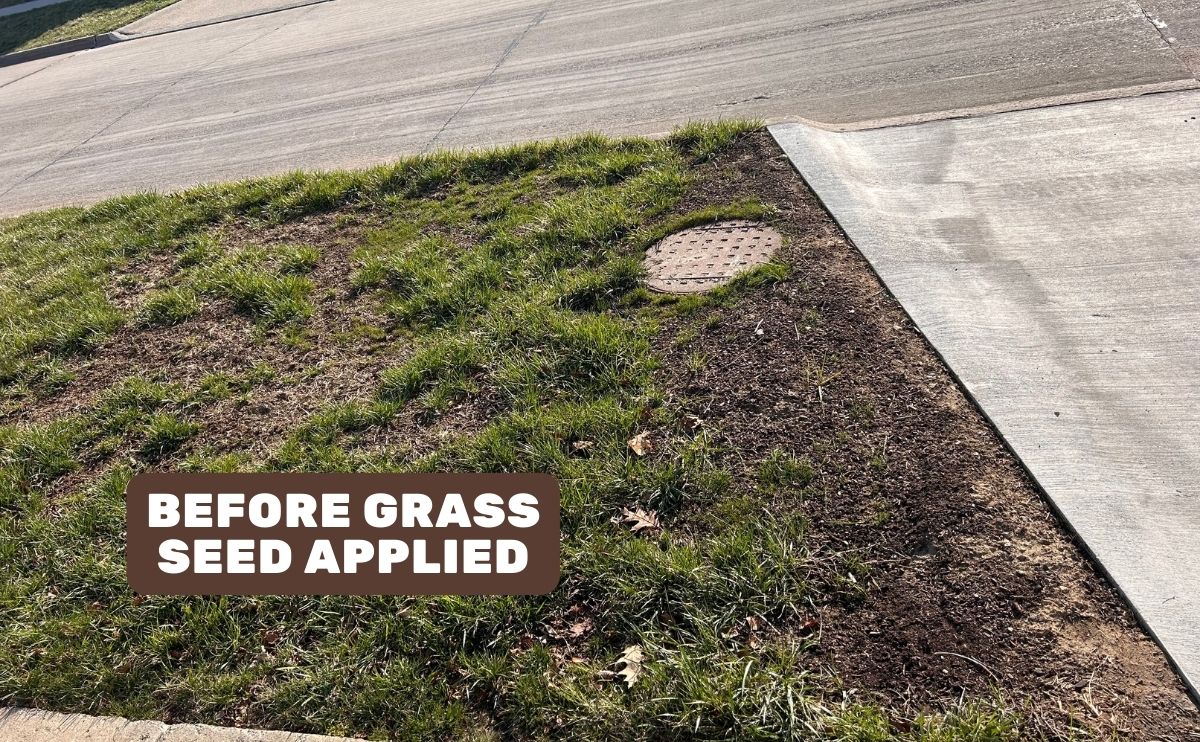 Yard with grass seed applied (caption overlay: grass seed applied here).