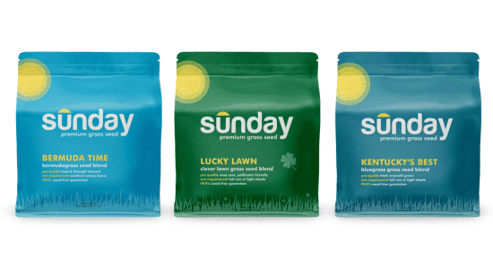 Sunday Lawn Care grass seeds.