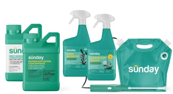 Pet's Pal Natural Weed Killer, Pet Safe Spray, Ready-to-use Natural Herbicide, Environmentally Safe, Bee Safe, Glyphosate Free