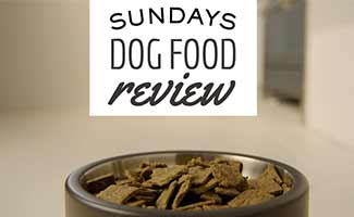 Bowl of dog food (Caption: Sundays For Dogs Review)