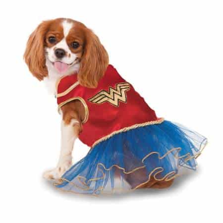 Super Hero Dog Costume