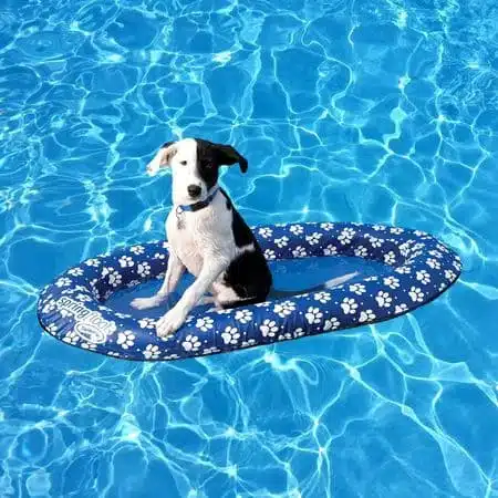 SwimWays Spring Float Paddle Paws