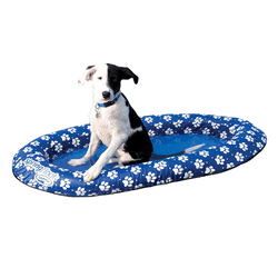 SwimWays Spring Float Paddle Paws