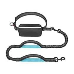 Best Leash For Hiking With Dog: TaoTronics Dog Leash