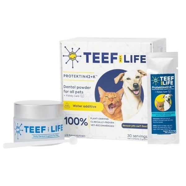 TEEF for Life Protektin42
