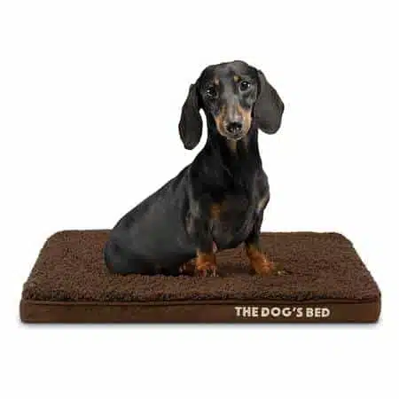 The Dog’s Bed Orthopedic Memory Foam