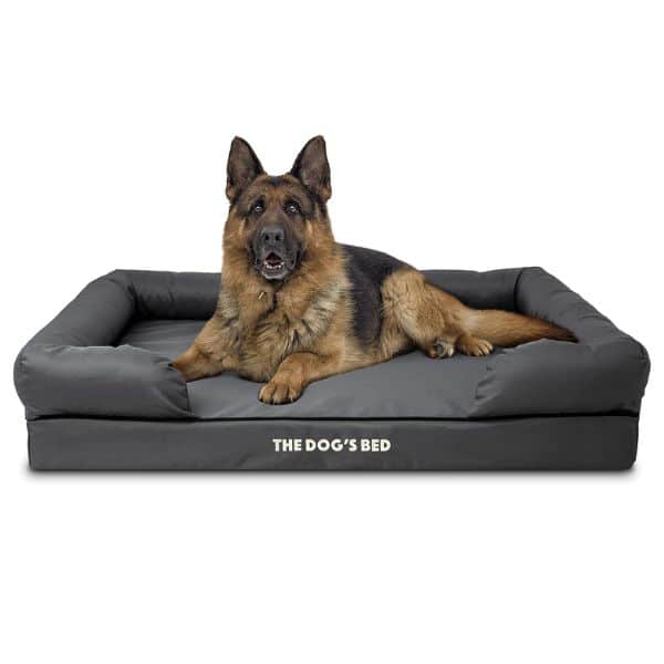 The Dog’s Bed Orthopedic Foam Bed
