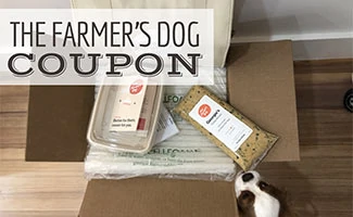 Dog sniffing box of The Farmer's Dog (caption: The Farmer's Dog Coupon)