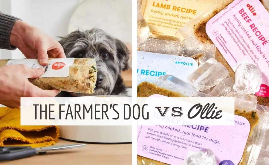 Person squeezing Farmer's Dog food out of bag into dog bowl with dog sniffing it next to bags of Ollie dog food (Caption: The Farmer's Dog vs Ollie)