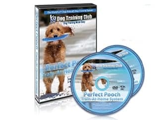 The Perfect Pooch course