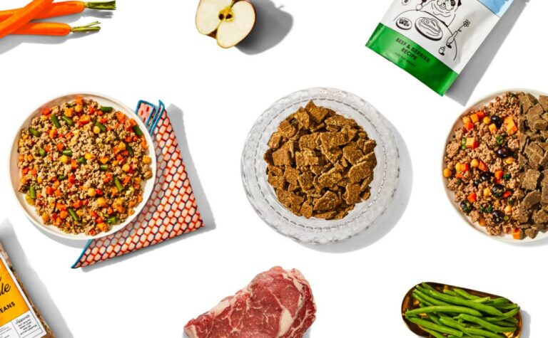 The Pets Table Dog Food Reviews The Pets Table Review & Personal Experience - Canine Journal
