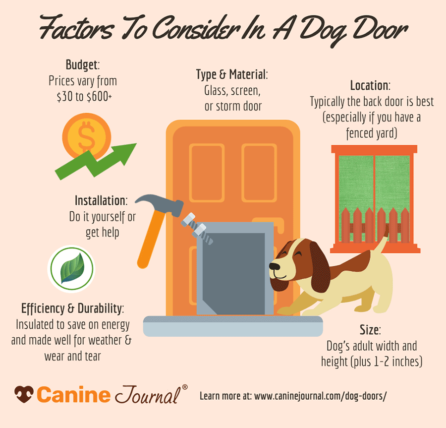 Infographic: Factors to consider in a dog door