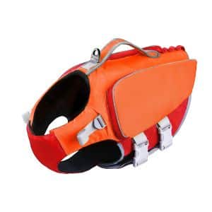 ThinkPet dog life jacket.