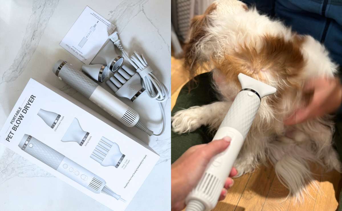 thinkpet wand and attachments on counter and using thinkpet wand on cavalier jpg