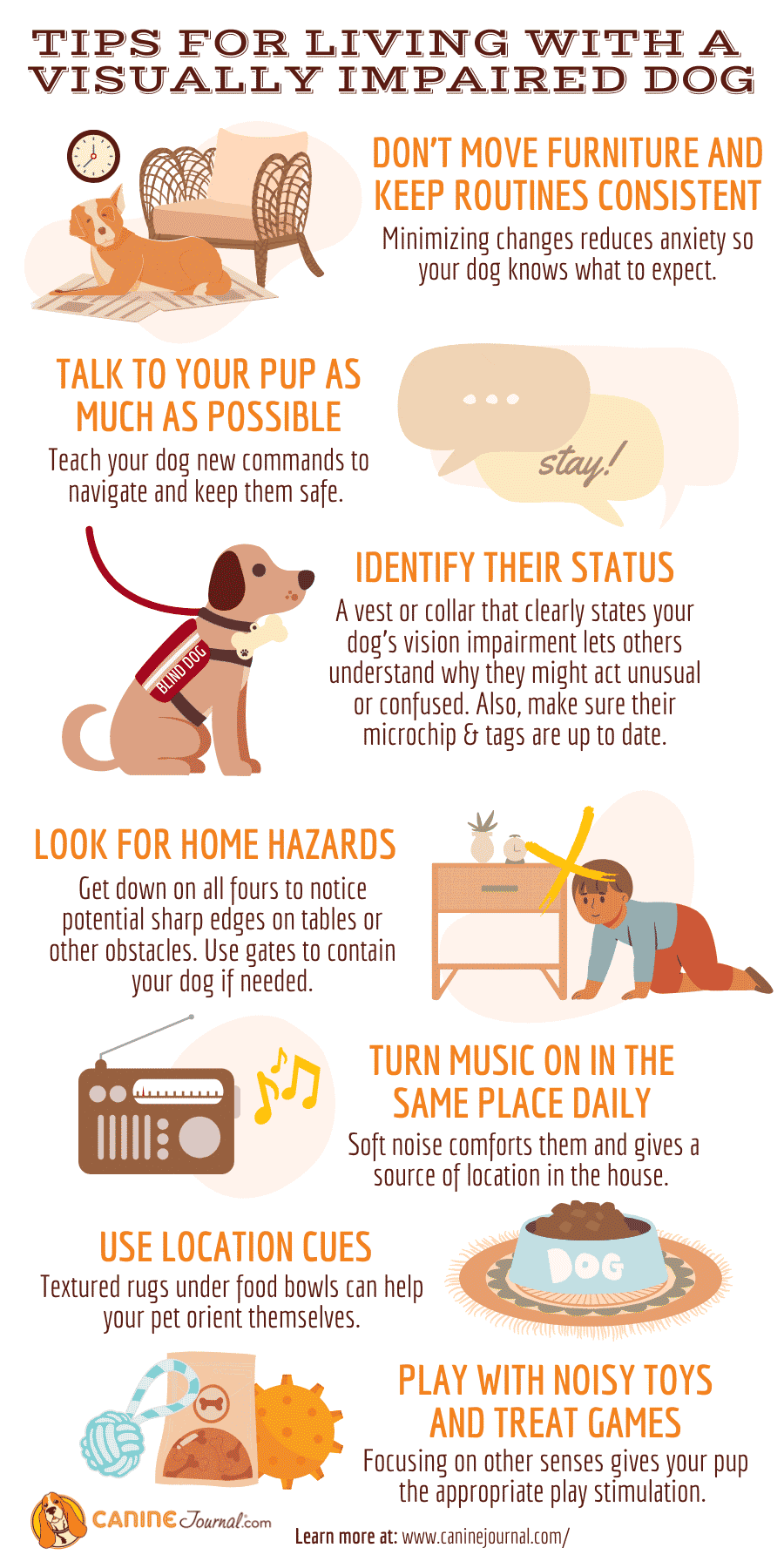 Tips for living with a 
visually impaired dog