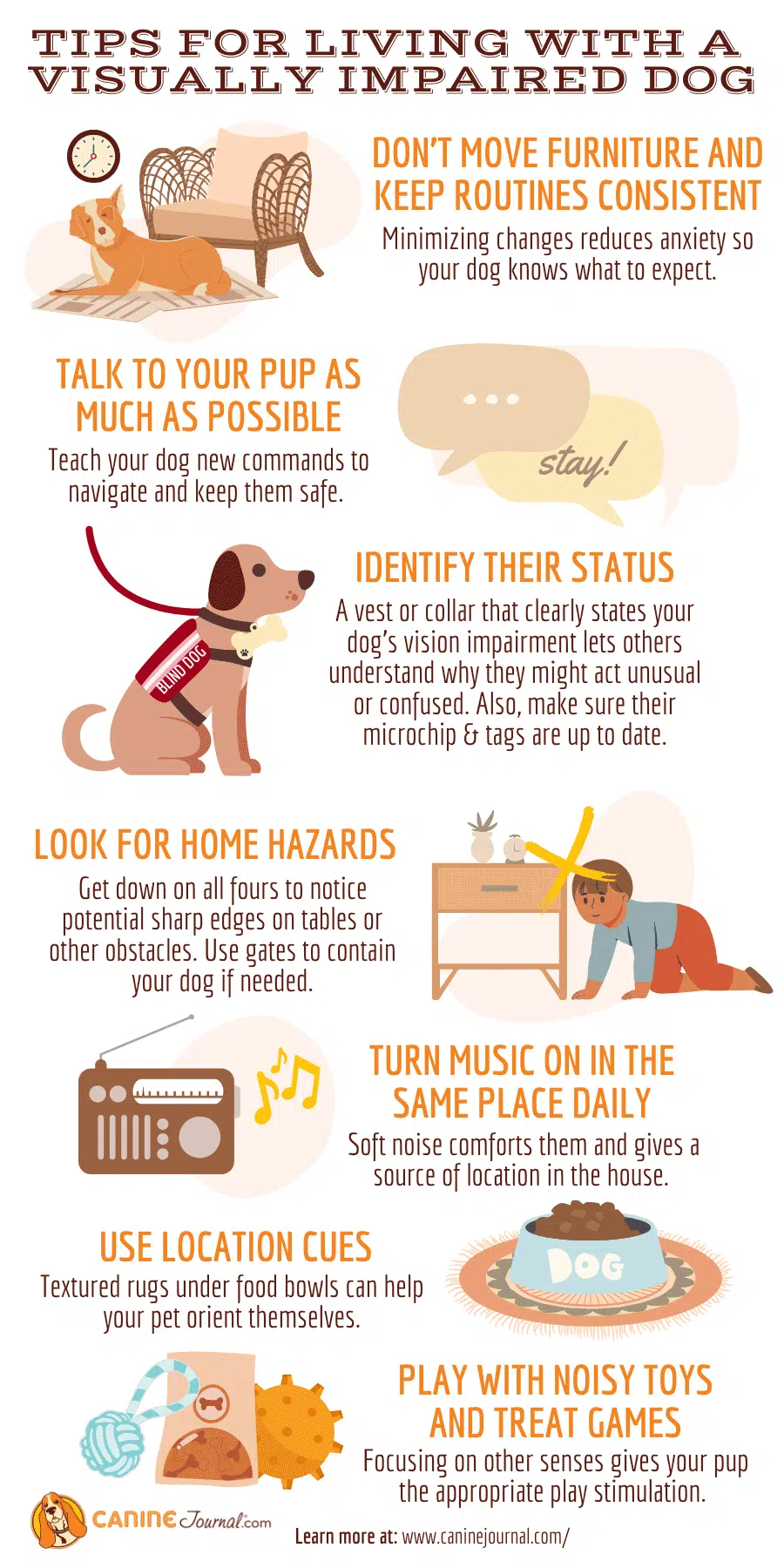 Tips for living with a 
visually impaired dog