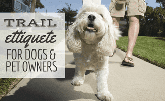 Small white dog being walked on trail by owners (Caption: Trail Etiquette for dogs and pet owners)