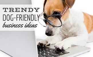 A Jack Russell Terrier wearing glasses and pretending to type on a laptop computer (Caption: Trendy Dog-Friendly Business Ideas).