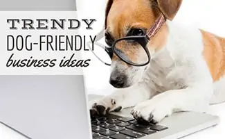 Jack Russell Terrier wearing glasses on laptop (Caption: Trendy Dog-Friendly Business Ideas)