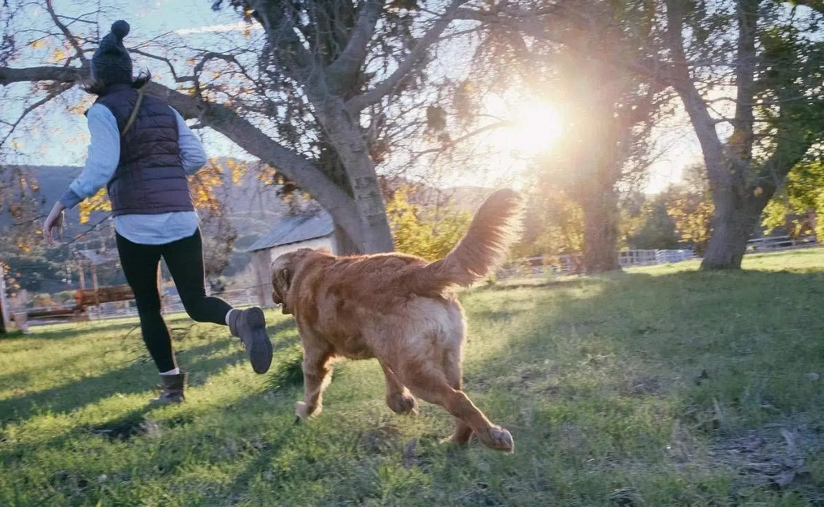 Girl and dog running through yard (caption: Trupanion Pet Insurance Review)
