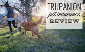 Girl and dog running through yard (caption: Trupanion Pet Insurance Review)