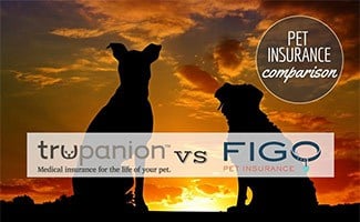 Two dogs sitting in sunset (Caption: Trupanion vs Figo logos; Pet Insurance Comparison)