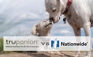 Two dogs nose to nose (caption: Trupanion vs Nationwide)