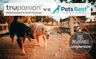 Trupanion vs Pets Best logos with two dogs running (caption: Pet Insurance Comparison)