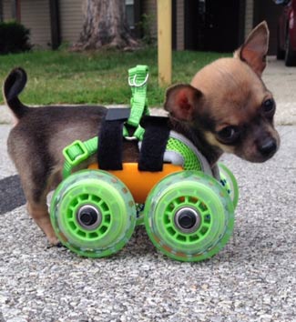 TurboRoo on Wheels