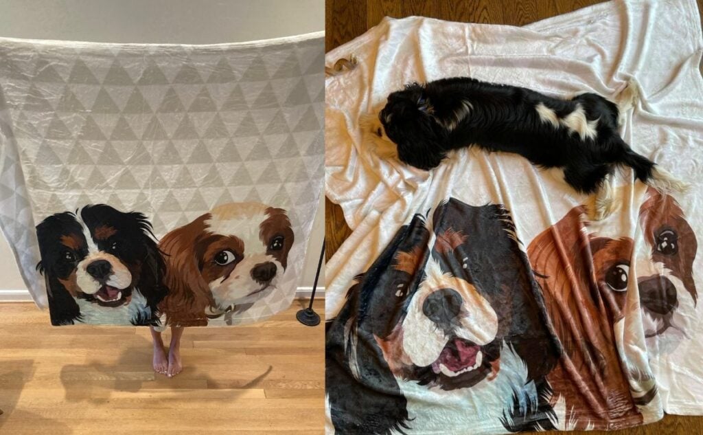 Two cavaliers on a pet fleece blanket.