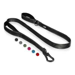 TwoEar Strong Dog Leash 