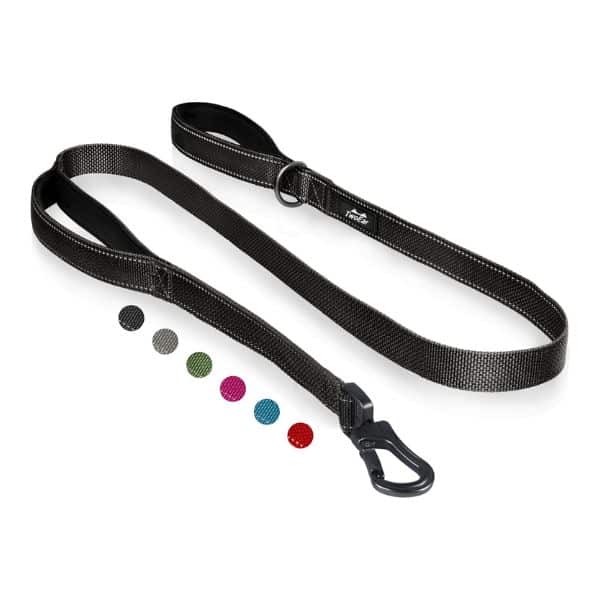 TwoEar Strong Dog Leash