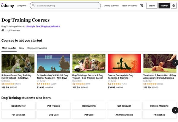 Udemy clases screenshot.