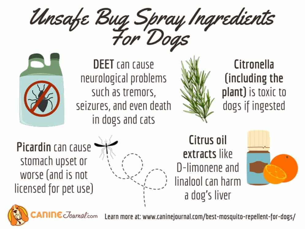 Unsafe Bug Spray Ingredients For Dogs infographic