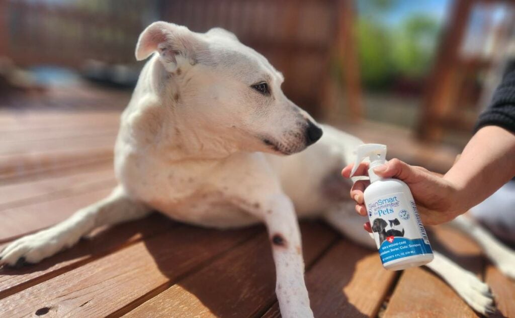 Woman using SkinSmart spray on dog outside on deck.