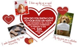 Valentines Day Promo