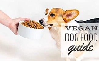 Dog eating food out of bowl (caption: Vegan Dog Food)