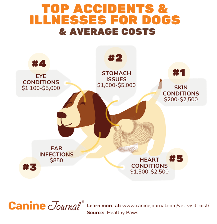 Vet visit cost 2025.
