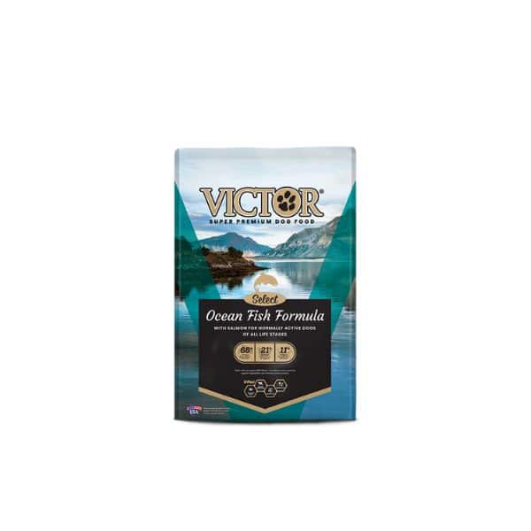 victor ocean fish jpg
