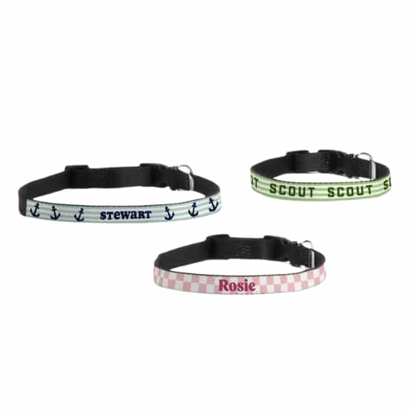vista print cusotm dog collars jpg
