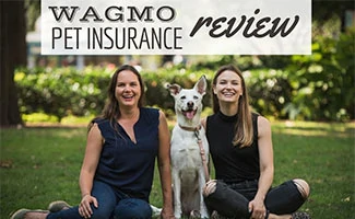 Wagmo founders sitting next to dog in park (caption: Wagmo Pet Insurance Review)